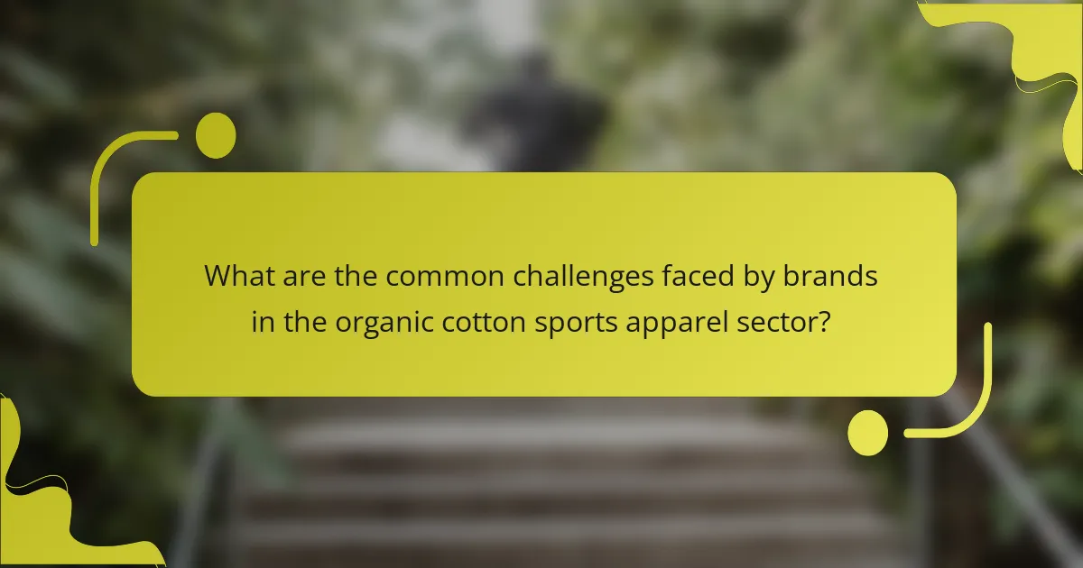 What are the common challenges faced by brands in the organic cotton sports apparel sector?