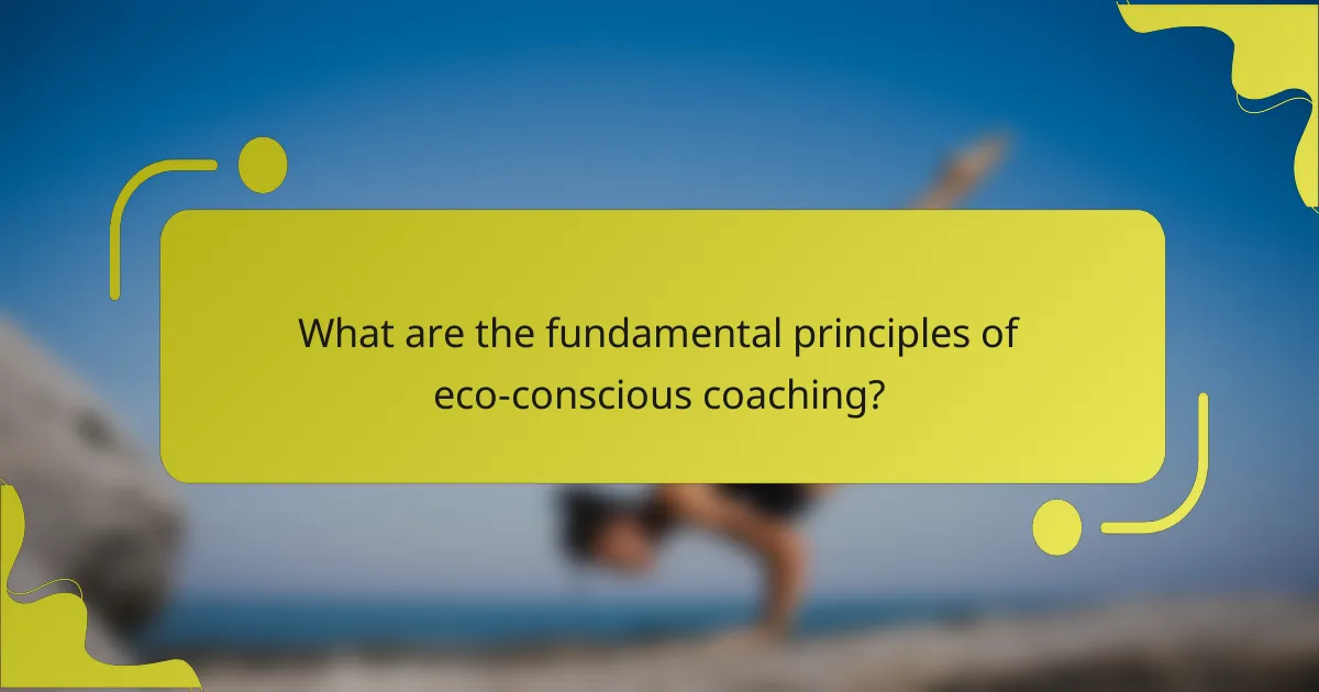 What are the fundamental principles of eco-conscious coaching?