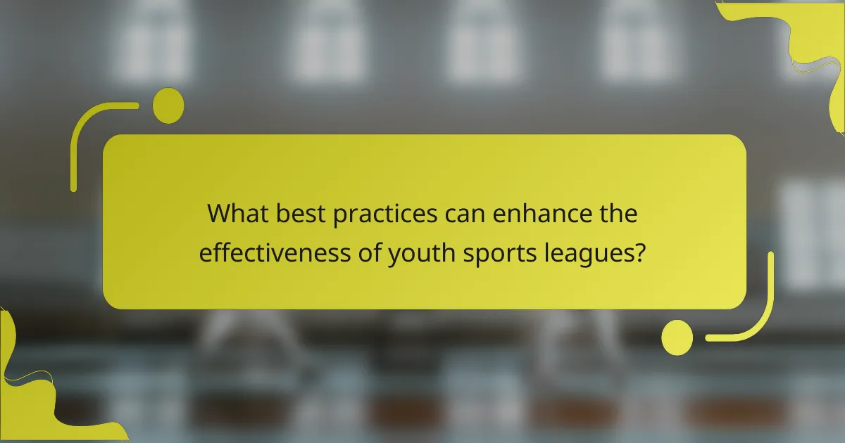 What best practices can enhance the effectiveness of youth sports leagues?